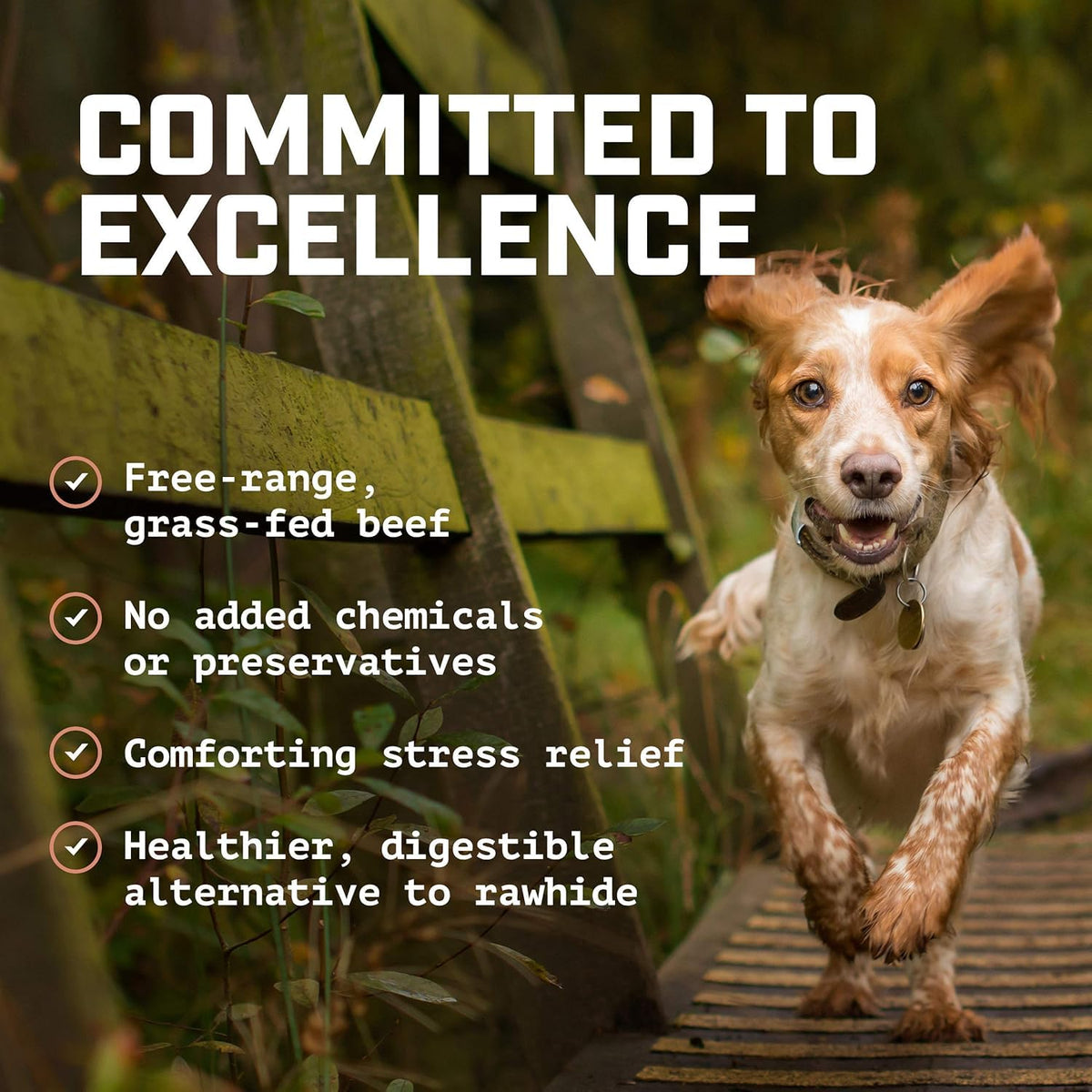 Committed to excellence — free-range grass-fed beef, no added chemicals or preservatives, healthier alternative to rawhide